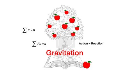 The gravitational force of the earth animation, Gravity, falling apple, Isaac newton idea universal law, fall red apple tree down. Step down stages, timeline. Weight and mass experiment, Inertia