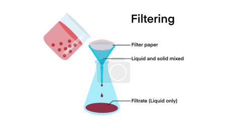 Filtration, chemical experiment, separation process, Filtration process, Simple filtration, Solid residue, glass funnel, filter paper, filtrate, filtration, evaporation condensation, liquid mixture