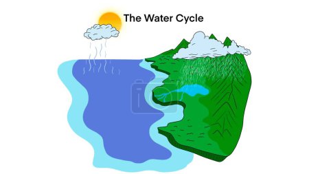 The water cycle diagram, representation of the water cycle in nature, Water process on Earth, Hydrologic cycle, Biogeochemical cycle for education, Geo science ecosystem scheme