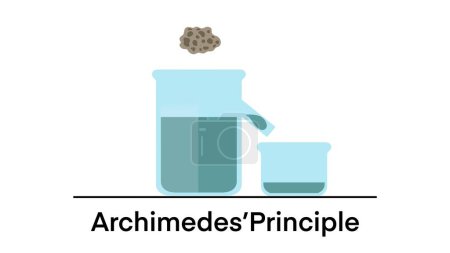 Archimedes Principle, The buoyant force illustration, Archimedes principle experiments and buoyant force, Positive negative and neutral buoyancy, Scheme of Archimedes buoyancy principle