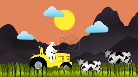 Kuhfarm, Traktor auf der grünen Wiese, Mann fährt Traktor über das Feld pflügt das Land, landwirtschaftliches Konzept, Traktor fährt durch weitläufiges Feld, Maisfeld, landwirtschaftliches Geschäft