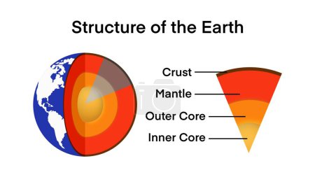  The structure of the earth is divided into four major components, the crust, the mantle, the outer core, the inner core, The crust is the outermost layer of the Earth, Graphic for Earth Structure