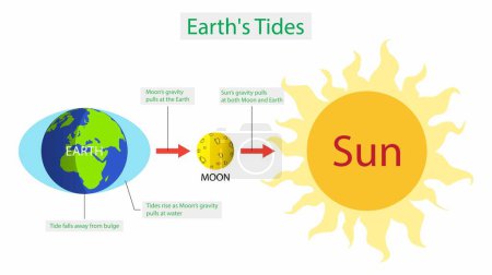 Illustration for Illustration of astronomy and cosmology Tides and Water Levels, The moon is a major influence on the Earth's tides, but the sun also generates considerable tidal forces - Royalty Free Image