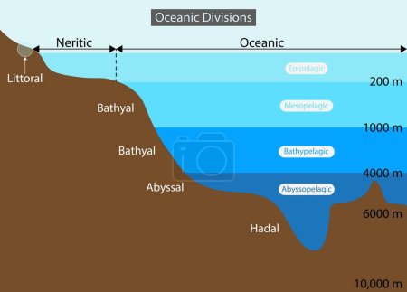 illustration of physics and geography, Oceanic divisions and depth zones as underwater parts in outline diagram, Mariana trench undersea landscape, Oceanic Divisions