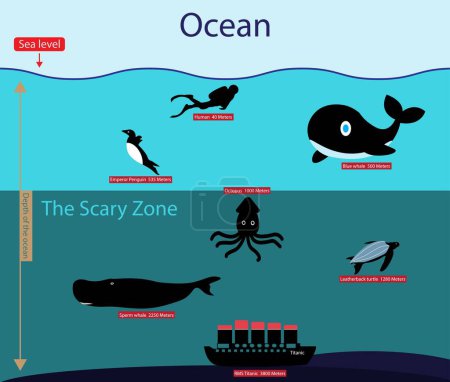 Illustration for Illustration of physics and ecology, Ocean and Scary zone, layers of the ocean, ocean depth, ocean can be divided into five layers, based on temperature depth and light, deepest layer of the ocean - Royalty Free Image