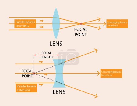 Illustration for Illustration of physics, Convex or converging lens, concave, diverging lens, light rays passing through lens, optics, photography, concave lens and convex lens, Diverging and converging lens - Royalty Free Image