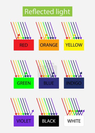 Illustration der Physik, verschiedene Farben im Sonnenlicht, Sichtbares Lichtspektrum des menschlichen Auges infografisches Diagramm Wellenlänge Sichtbarkeit unsichtbarer Strahl