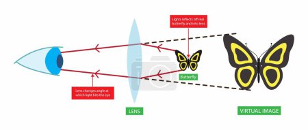 illust de la física, lente de aumento, Lente convexa etiquetada converge los rayos de luz que pasan a través de la lente a un punto, dirección de los rayos de luz y la flexión a través de la lente, cilíndrico