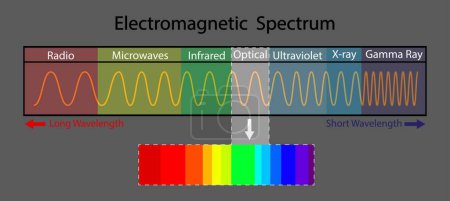 Téléchargez les illustrations : Illustration de la physique et de la chimie, diagramme du spectre électromagnétique des sciences, spectre électromagnétique des couleurs visibles pour l'œil humain, spectre de la lumière visible, infrarouge et ultraviolet - en licence libre de droit