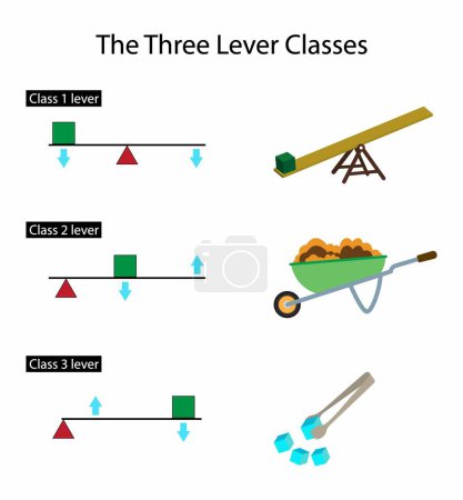 Illustration for Illustration of physics, Three lever classes, First class lever Fulcrum is in the middle, Second class lever Load is in the middle, Third class lever Effort is in the middle, fulcrum and resistance - Royalty Free Image