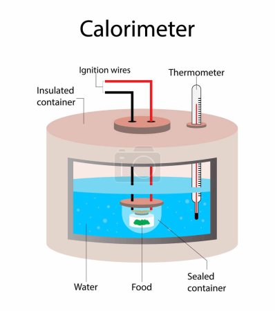 Illustration der Chemie und Physik, Kalorimeterdiagramm, Ein Kalorimeter ist ein Gerät zur Messung der während eines chemischen oder physikalischen Prozesses freigesetzten oder absorbierten Wärme