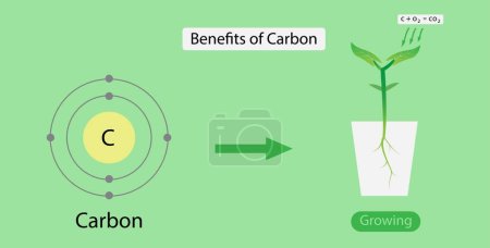 Illustration for Illustration of chemistry, Benefits of Carbon, Carbon is a component of carbon dioxide that is important to plant growth, Carbon dioxide is an essential component of photosynthesis - Royalty Free Image