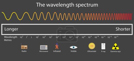 Illustration for Illustration of physics, The wavelength spectrum, wave lengths, frequency and temperature, Electromagnetic wave structure scheme, Physics infographic elements - Royalty Free Image