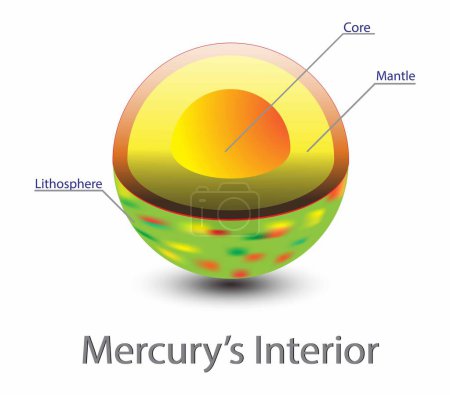 Illustration for Illustration of astronomy and cosmology, Mercury's interior, Inside Planet Mercury, Mercury is the closest planet to the Sun in Earths solar system - Royalty Free Image