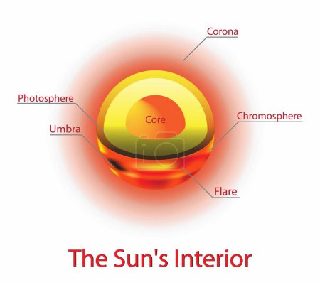Illustration for Illustration of astronomy and cosmology, Sun's interior, Anatomy of the Sun, sun is basically a giant ball of gas and plasma, The inner layers are the Core, Radiative Zone, Convection Zone - Royalty Free Image