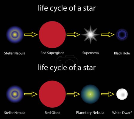 Ilustración de Illust de astronomía y cosmología, la vida y la muerte de una estrella, evolución estelar, nacimiento de una estrella, Las estrellas nacen en vastas nubes de gas frío y polvo llamadas nebulosas que giran lentamente - Imagen libre de derechos