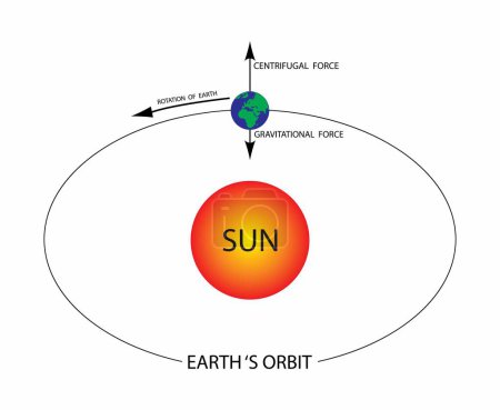 Illustration of astronomy, cosmology, Earths orbit, Right ascension is the celestial equivalent of terrestrial longitude, Earth's rotation and Sun's rotation, Astronomical coordinate