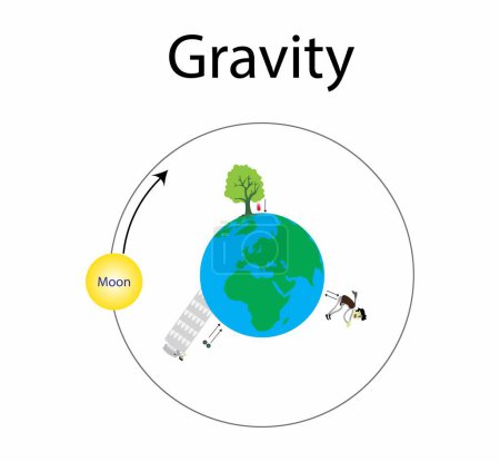 ilustración de la física, movimiento de un objeto que cae libremente, en el vacío todos los objetos que caen acelerarían a la misma velocidad sin importar su tamaño, forma o masa, la luna gira alrededor de la tierra