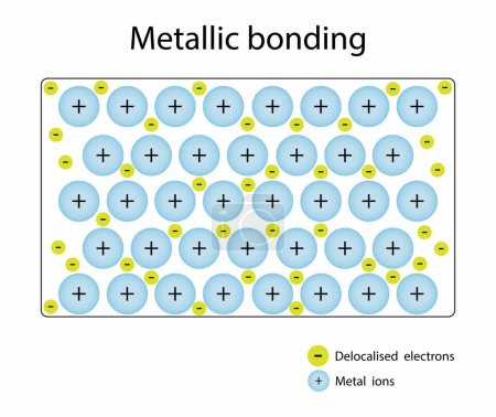 illustration de la chimie et de la physique, Liaison métallique, Liaison métallique entre ion métallique et électron, force d'attraction électrostatique entre électrons délocalisés présents dans le réseau métallique