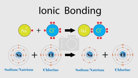 Illustration for Illustration of chemistry, ionic bonding, ionic compound is a chemical compound composed of ions held together by electrostatic forces termed ionic bonding, Ionic bond and electrostatic attraction - Royalty Free Image