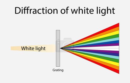 Ilustración de Illust of physics, Difracción de la luz blanca, Dispersión, Difracción, y Refracción, absorción de la luz, actividad de la onda, y espectro de color, Espectro de luz visible, Color visible electromagnético - Imagen libre de derechos