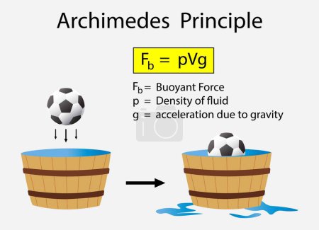 Illustration for Illustration of physics, Archimedes Principle, The buoyant force illustration, Archimedes principle experiments and buoyant force, Positive negative and neutral buoyancy - Royalty Free Image