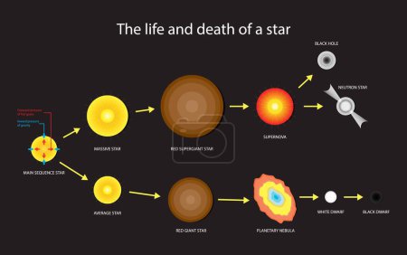 Ilustración de Illust de astronomía y cosmología, la vida y la muerte de una estrella, evolución estelar, nacimiento de una estrella, Las estrellas nacen en vastas nubes de gas frío y polvo llamadas nebulosas que giran lentamente - Imagen libre de derechos