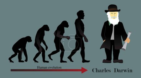 Téléchargez les illustrations : Illustration de la biologie, L'évolution humaine est le processus évolutif dans l'histoire des primates qui a conduit à l'émergence de l'Homo sapiens, Théorie de Charles Darwin - en licence libre de droit