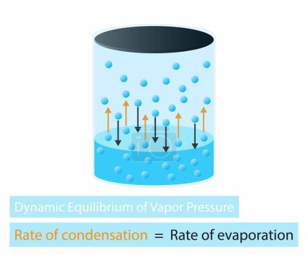 Illustration der Chemie, Dynamisches Gleichgewicht des Dampfdrucks, Bewegung der Moleküle ist Aktion, die beobachtetes Phänomen des Dampfdrucks erzeugt, Gleichgewicht zwischen Flüssig- und Dampfphase