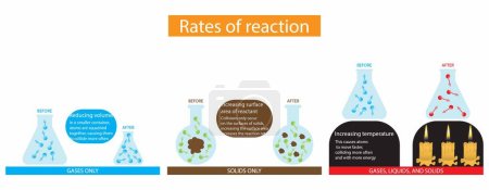 Illustration for Illustration of physics and chemistry, Rates of reaction, the speed at which a chemical reaction proceeds, Chemical reactions proceed at vastly different speeds - Royalty Free Image