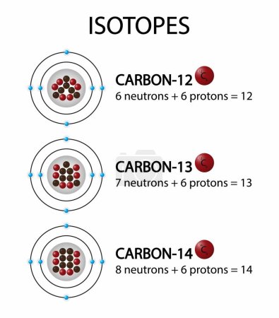 Téléchargez les illustrations : Illustration de la chimie, isotopes du carbone, isotopes du carbone se présentent sous trois formes, noyaux et l'abondance relative des isotopes du carbone, trois isotopes naturels de carbone12, 13 et 14 - en licence libre de droit