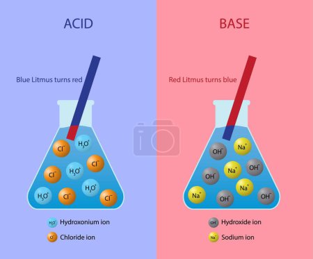 Ilustración de Ilustración de química, diferencia química entre ácidos y bases es que los ácidos producen iones de hidrógeno y las bases aceptan iones de hidrógeno, una base es una sustancia que neutraliza los ácidos - Imagen libre de derechos