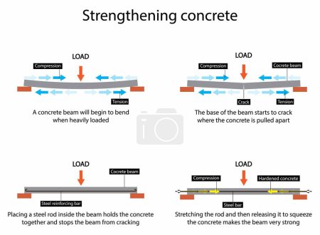 Illustration for Illustration of physics, Strengthening concrete, Concrete being poured into rebar, tensile strength, Infrastructure construction, post tensioning is employed as a technique to reinforce the concrete - Royalty Free Image