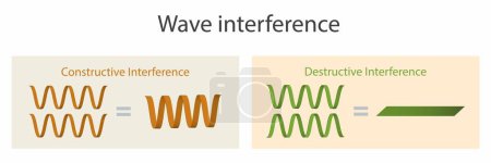 Illustration for Illustration of physics, Wave interference is the phenomenon that occurs when two waves meet while traveling along the same medium, Constructive and destructive interference - Royalty Free Image