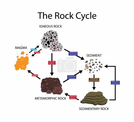 Illustration for Illustration of physics and geology, The Rock cycle, three main rock types sedimentary, metamorphic and igneous, rock change a geologic cycle and on planets - Royalty Free Image