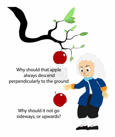 Illustration for Illustration of physics, Isaac Newton's discovery of gravity, The apple fell to the earth by gravity, Universal Law of Gravitation, Sir Isaac's Most Excellent Idea, Law of Gravitation - Royalty Free Image