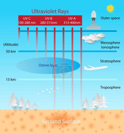 Illustration for Illustration of physics, ecology and chemistry, Ultraviolet rays, Ultraviolet radiation reaches Earth through the ozone layer, UVA rays have the longest wavelengths, followed by UVB and UVC rays - Royalty Free Image
