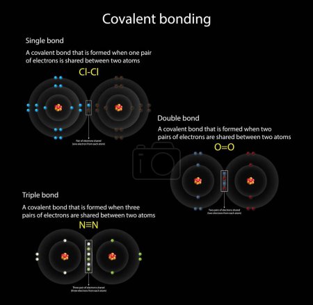 Illustration for Illustration of chemistry, A covalent bond consists of the mutual sharing of one or more pairs of electrons between two atoms, electrons are simultaneously attracted by the two atomic nuclei, covalent - Royalty Free Image