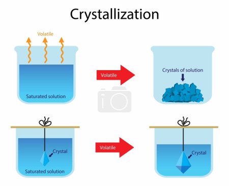 Ilustración de Ilustración de la química, La cristalización es una técnica utilizada para la purificación de sustancias, técnica de separación para separar los sólidos de una solución, solución de saturación - Imagen libre de derechos