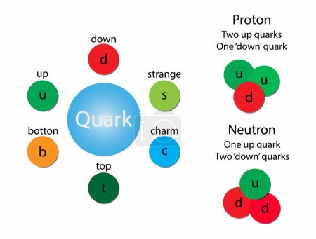 Illustration pour Illustration de la physique et de la chimie, le quark est un type de particule élémentaire et un constituant fondamental de la matière, le proton est composé de deux quarks en haut, un quark en bas et des gluons - image libre de droit
