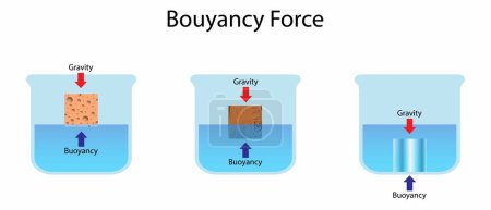 Fuerza de flotabilidad, ilustración de la física, Principio de Arquímedes, La ilustración de fuerza flotante, Experimentos de principio de Arquímedes y fuerza flotante, Flotabilidad positiva negativa y neutra