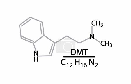 Illustration for Illustration of biochemistry and chemistry, Dimethyltryptamine (DMT) psychedelic drug molecule, The main effect of DMT is psychological, with intense visual and auditory hallucinations - Royalty Free Image