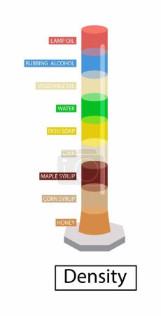 Illustration for Illustration of chemistry and physics, Density of Liquids, Liquids density, separate fluids layers. Different colorful material parts, mass water, oil, honey, soap, Weight, intensity experiment - Royalty Free Image