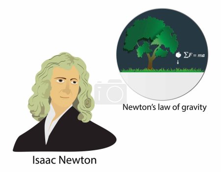Téléchargez les illustrations : Illustration de la physique, Newton's loi de la gravité, Isaac Newton formulé théorie gravitationnelle, Pommes tombent, La loi universelle de la gravitation, gravité de la Terre - en licence libre de droit