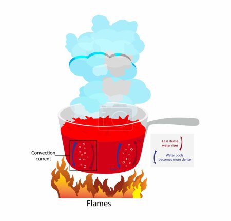 Ilustración de Illust de la física y de la biología, hierva el agua con el calor, la transferencia de calor y la convección, la conducción del calor ocurre mientras que los átomos y las moléculas calientes, que se mueven rápidamente o vibran interactúan, energía térmica - Imagen libre de derechos