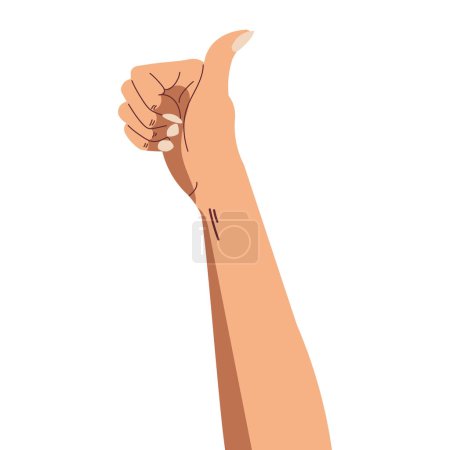 Illustration for Asian hands illustration gesturing thumbs up on white background - Royalty Free Image