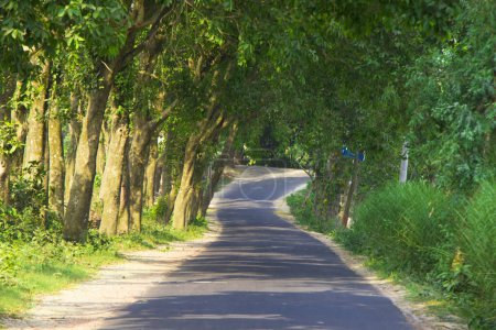 Tauchen Sie ein in die heitere Schönheit des ländlichen Bangladeschs mit diesem fesselnden Bild, das eine kurvenreiche Straße inmitten üppigen Grüns einfängt.