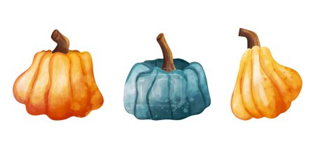 Illustration for Set of pumpkins. Watercolor vector illustration. Autumn theme. - Royalty Free Image