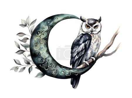 Watercolor halloween owl. Illustration clipart isolated on white background.