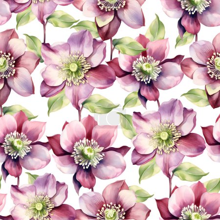Watercolor Hellebore flower seamless pattern, watercolor illustration, background.